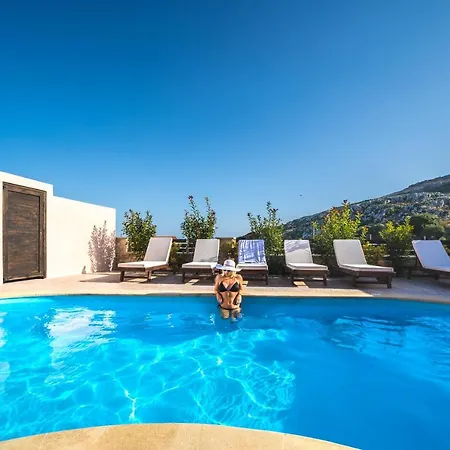 Villa Nemesis Plátanos